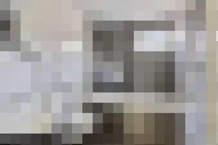 Botlek 8 Deurne thumbnail 28