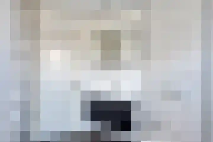 Botlek 8 Deurne thumbnail 29