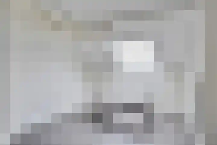 Botlek 8 Deurne thumbnail 31