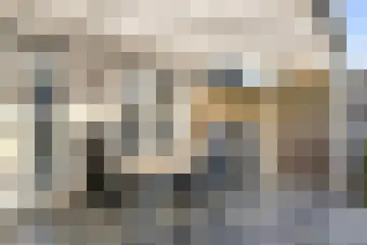 Botlek 8 Deurne thumbnail 34