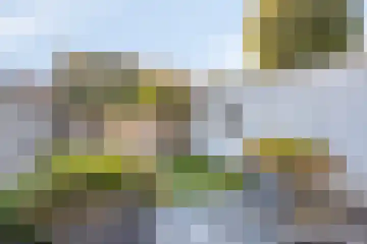 Botlek 8 Deurne thumbnail 36