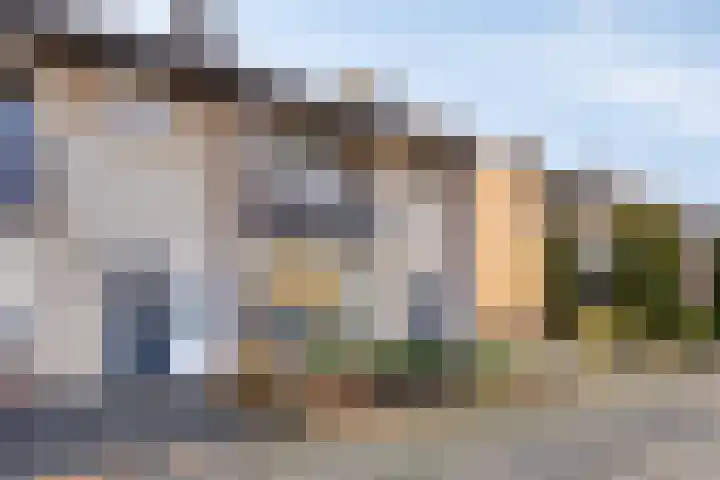 Botlek 8 Deurne thumbnail 8