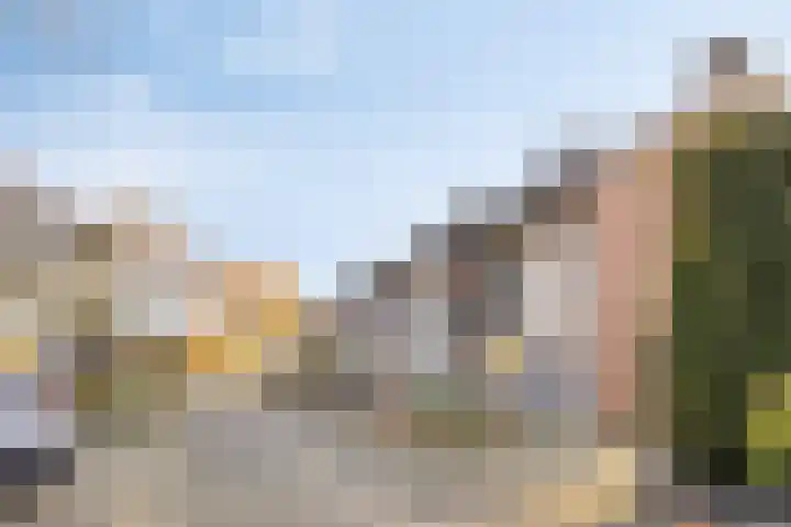 Botlek 8 Deurne thumbnail 9