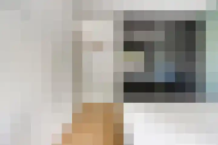 Botsehei 46 Veldhoven thumbnail 13