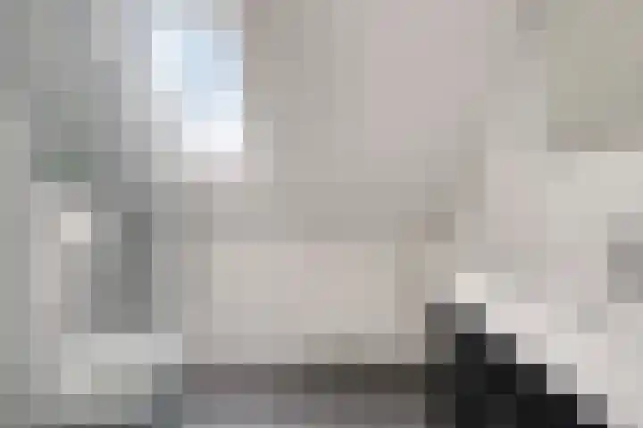 Botsehei 46 Veldhoven thumbnail 17