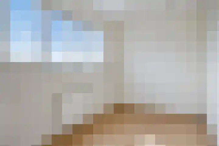 Botsehei 46 Veldhoven thumbnail 20