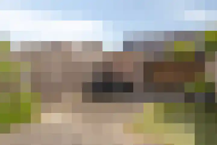 Botsehei 46 Veldhoven thumbnail 23
