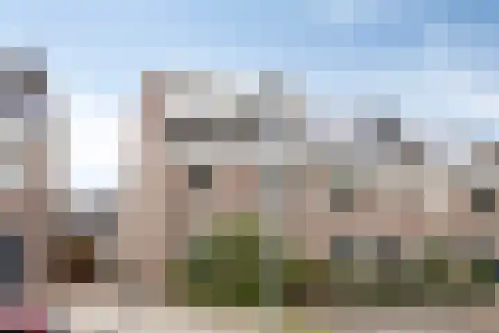 Botsehei 46 Veldhoven thumbnail 27
