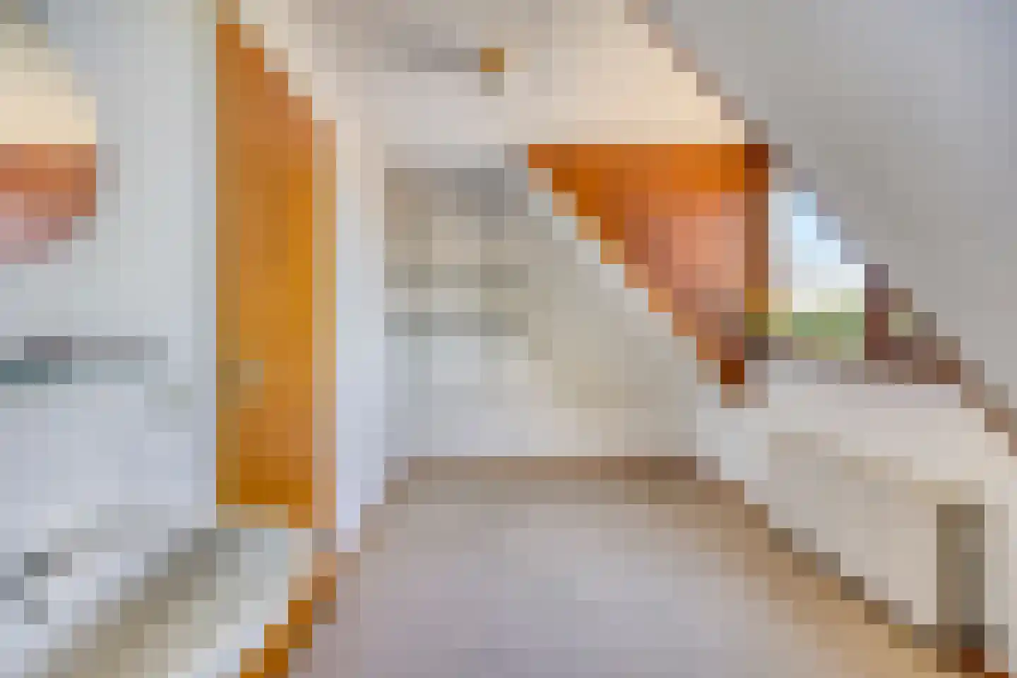 Botsestraat 11 Leuth thumbnail 38