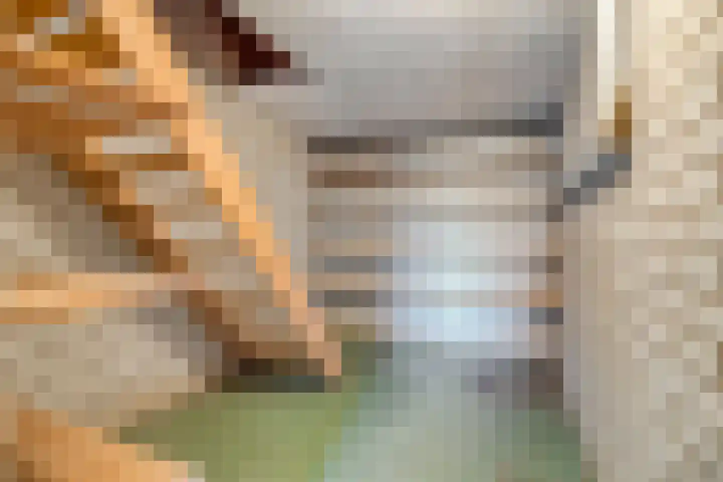 Botsestraat 11 Leuth thumbnail 43