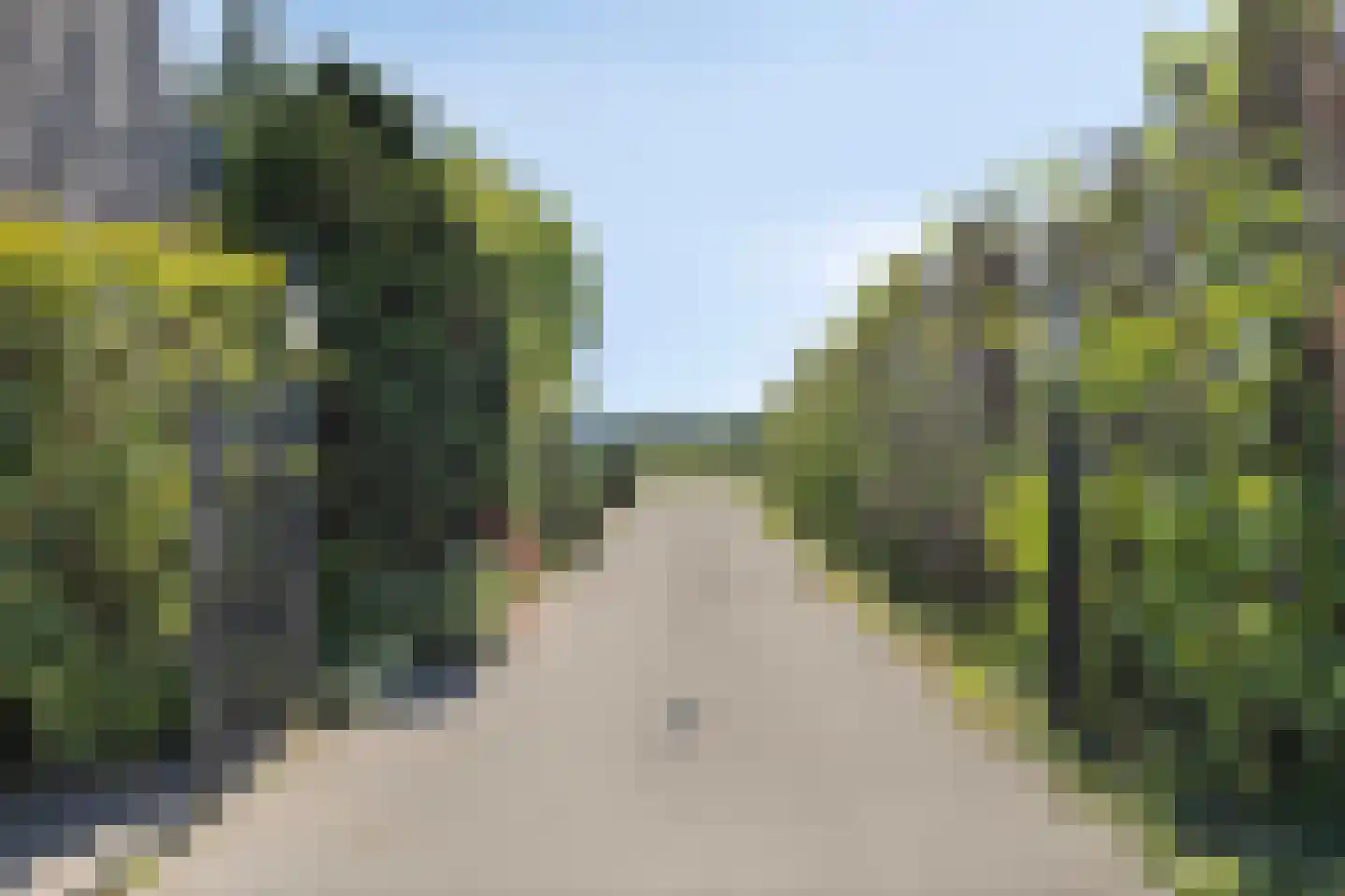 Botsestraat 11 Leuth thumbnail 55
