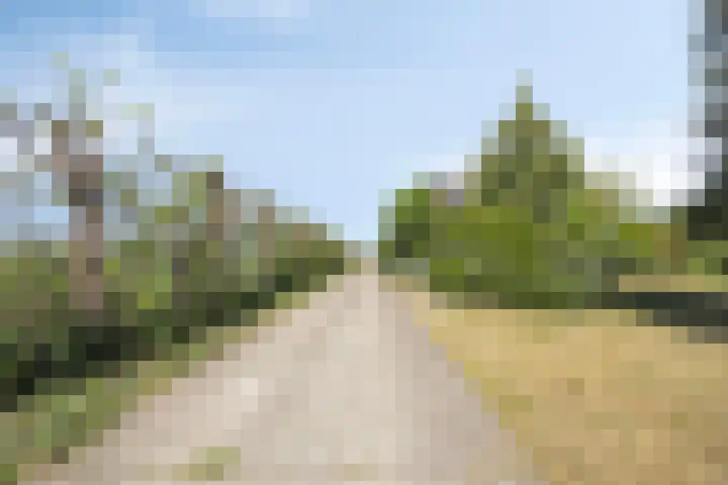 Botsestraat 11 Leuth thumbnail 58