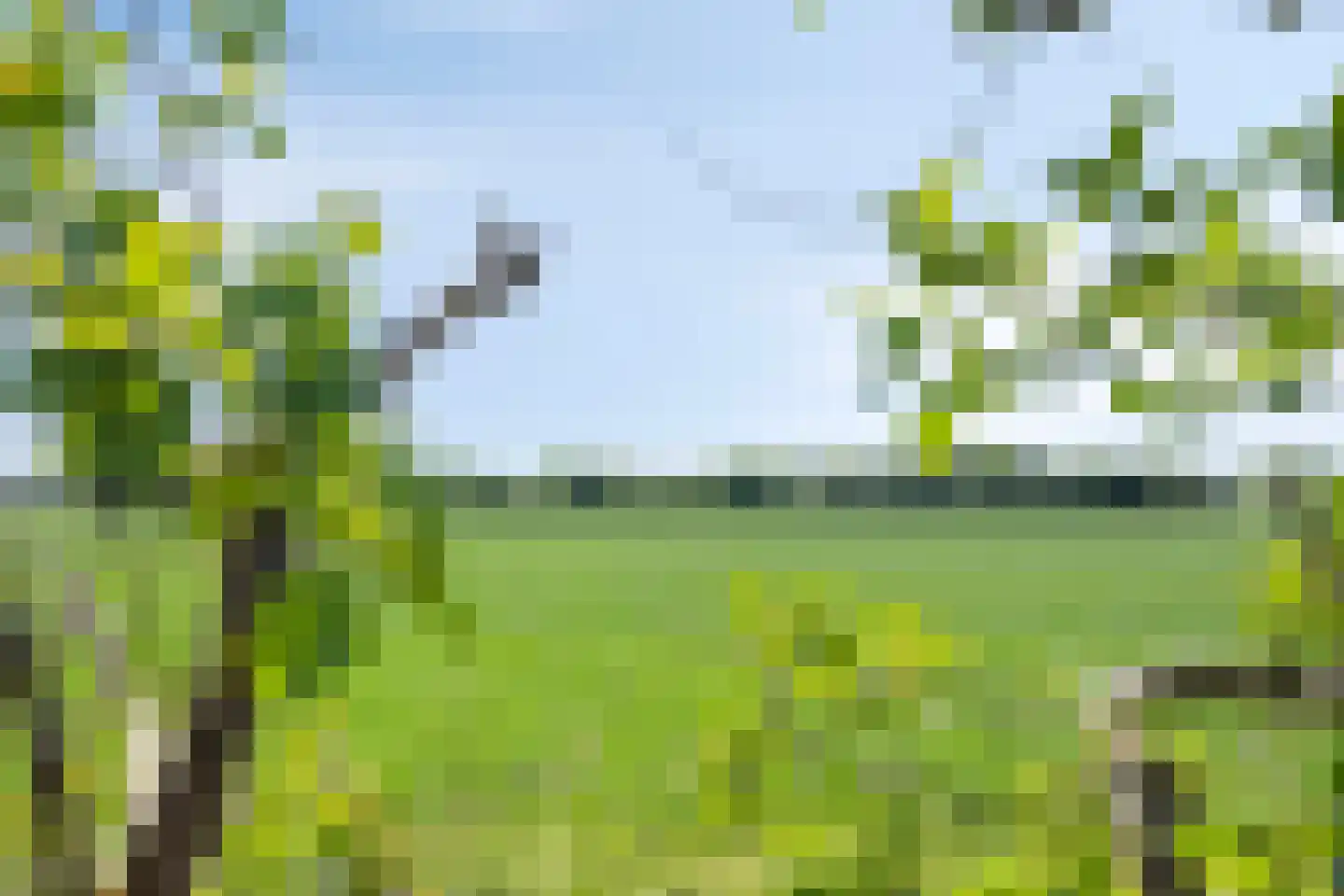 Botsestraat 11 Leuth thumbnail 69
