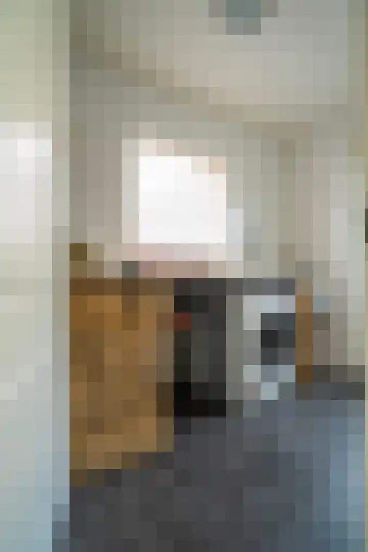 Bottelroosstraat 6 Bakel thumbnail 16