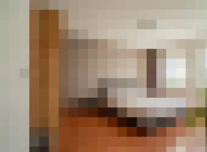 Bottelroosstraat 6 Bakel thumbnail 20