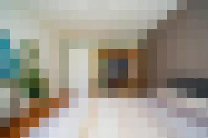 Bottelroosstraat 6 Bakel thumbnail 22