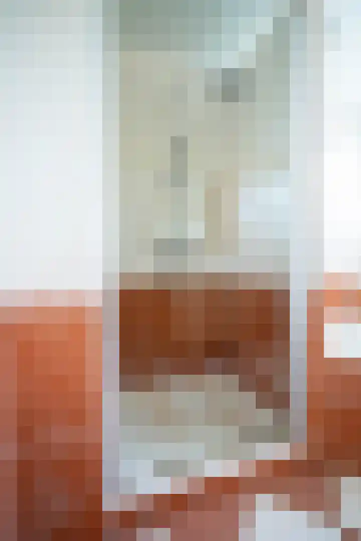 Bottelroosstraat 6 Bakel thumbnail 28