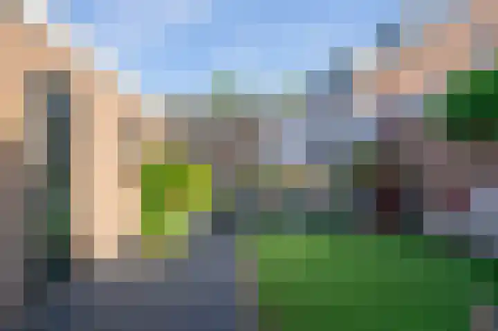 Bottelroosstraat 6 Bakel thumbnail 35