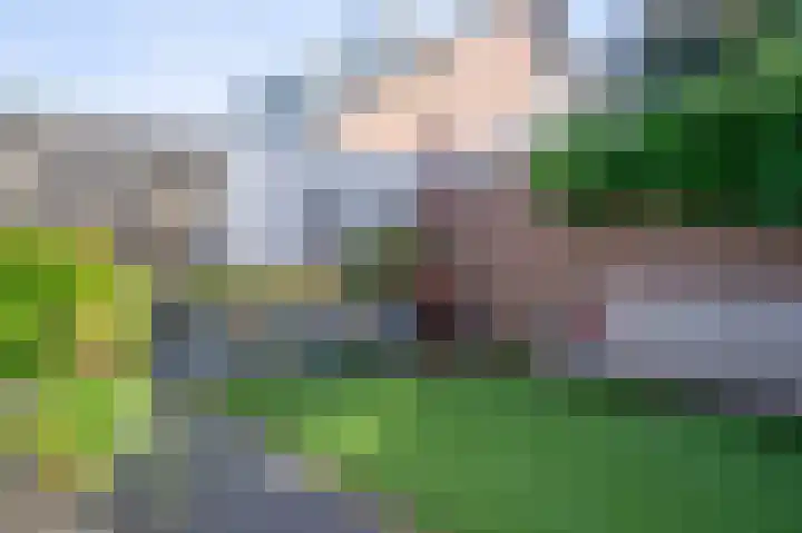 Bottelroosstraat 6 Bakel thumbnail 36