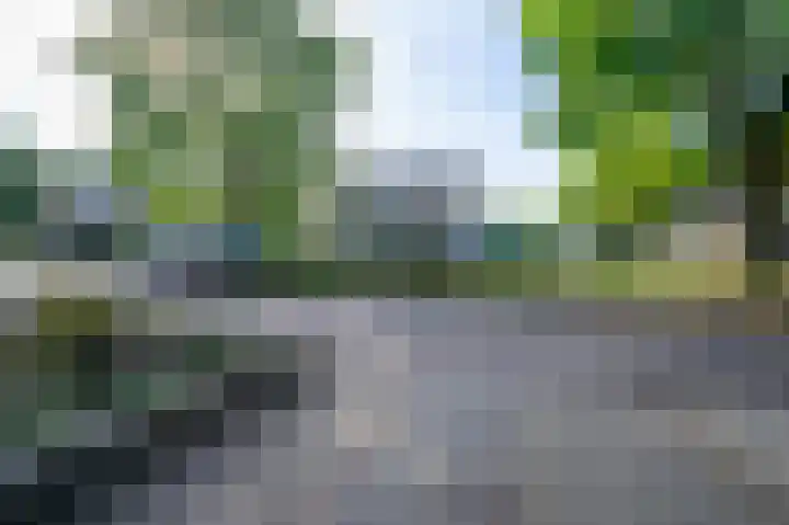 Bottelroosstraat 6 Bakel thumbnail 41
