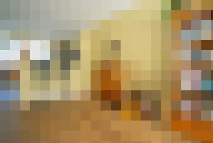 Bottelroosstraat 6 Bakel thumbnail 7