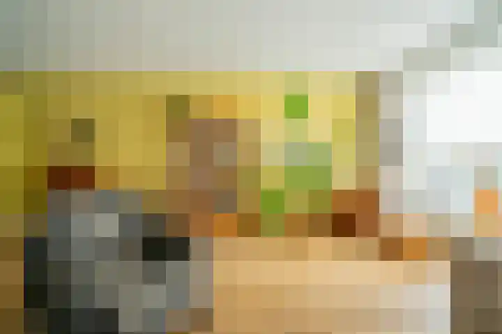 Bottelroosstraat 6 Bakel thumbnail 8