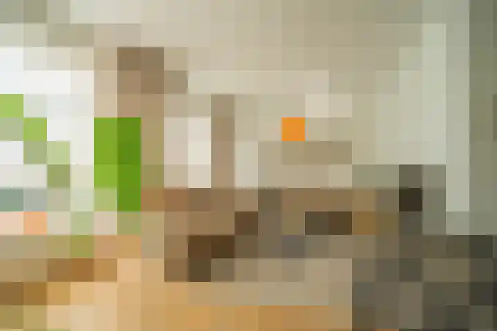 Bottelroosstraat 6 Bakel thumbnail 9