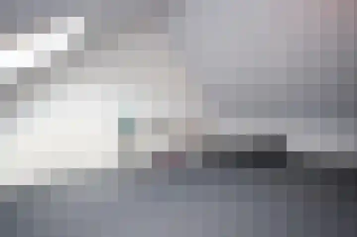 Botter 10 Terneuzen thumbnail 10