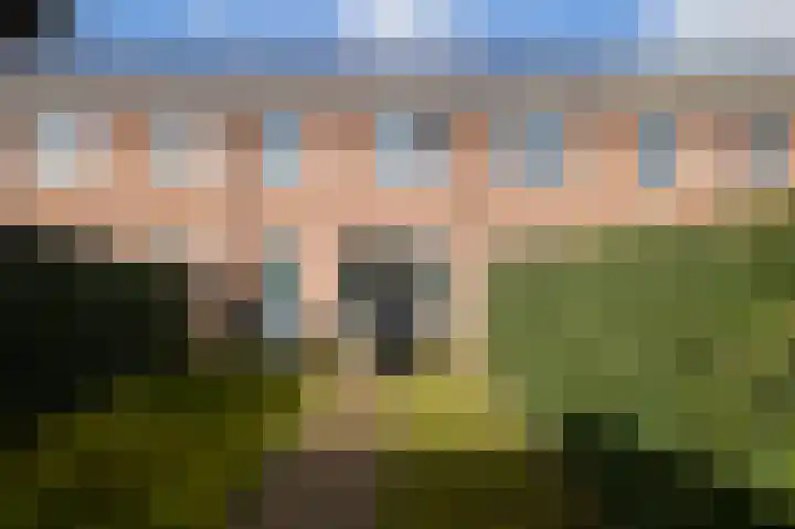 Botter 10 Terneuzen thumbnail 12