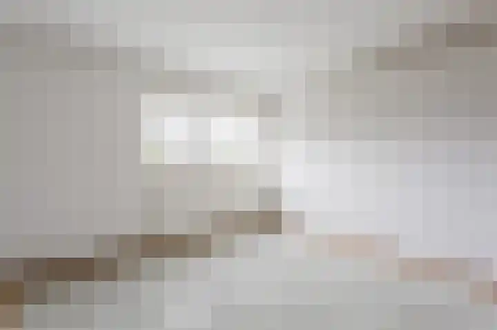 Botter 13 13 34 Lelystad thumbnail 16