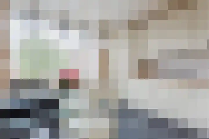 Botter 13 13 34 Lelystad thumbnail 8