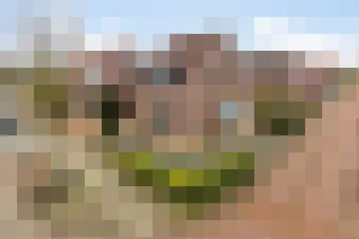 Botter 15 in Arnemuiden