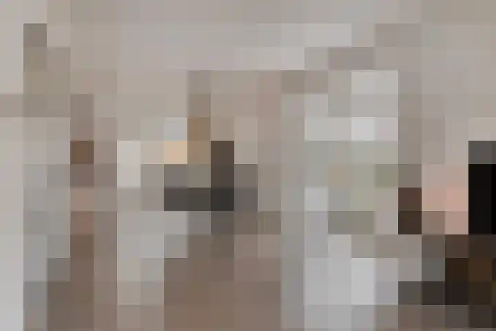 Botter 15 Arnemuiden thumbnail 20