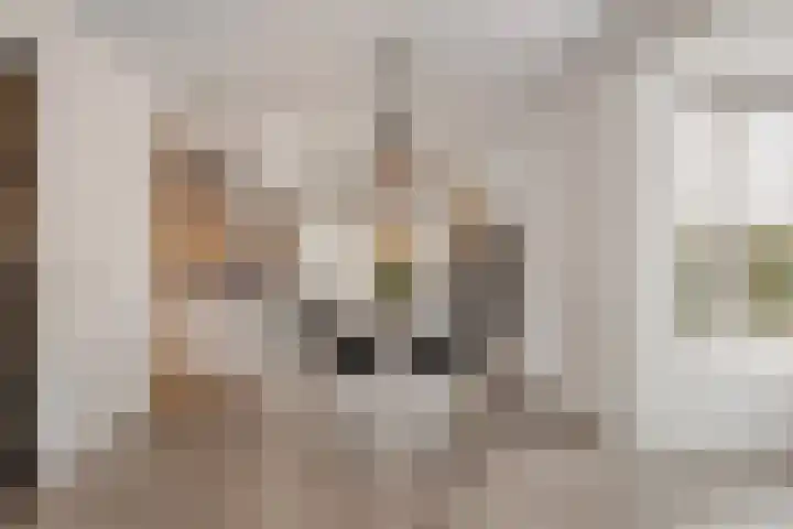 Botter 15 Arnemuiden thumbnail 22