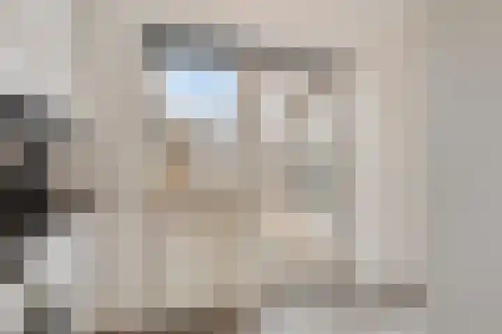 Botter 15 Arnemuiden thumbnail 35