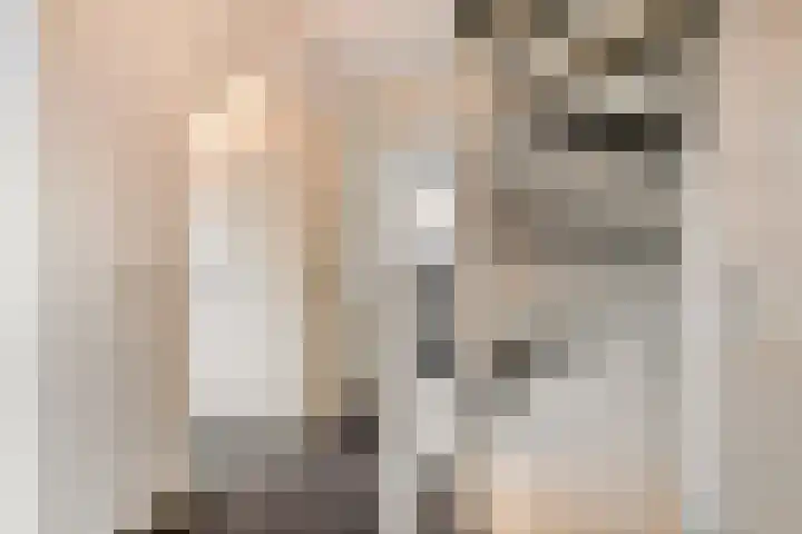 Botter 15 Arnemuiden thumbnail 38