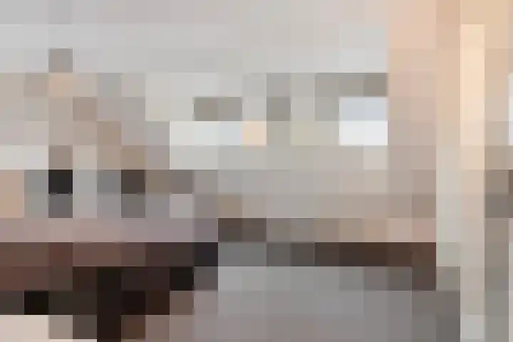 Botter 15 Arnemuiden thumbnail 39