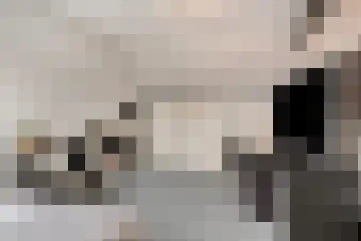 Botter 15 Arnemuiden thumbnail 43