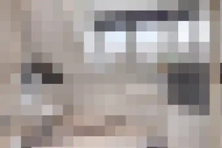 Botter 15 Arnemuiden thumbnail 46