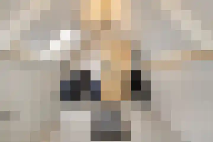 Botter 15 Arnemuiden thumbnail 49