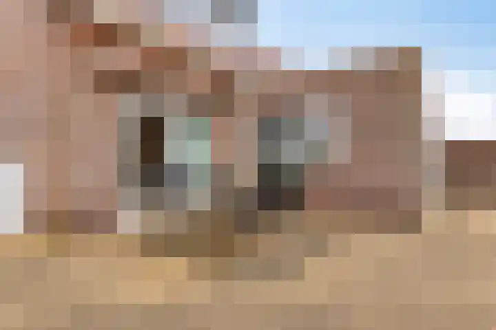 Botter 15 Arnemuiden thumbnail 53