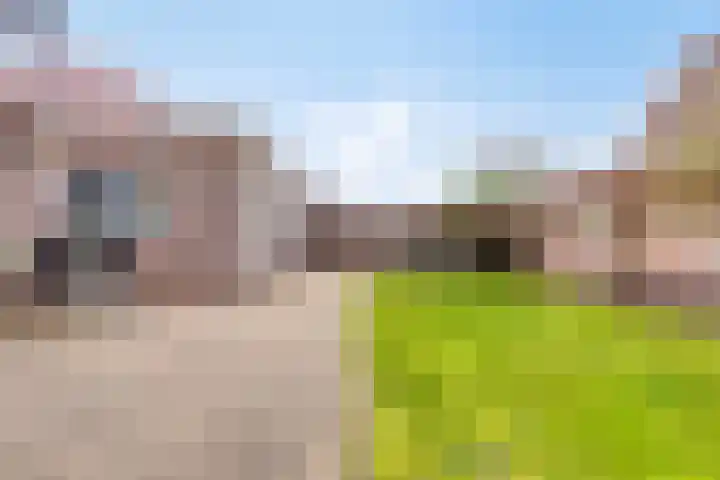 Botter 15 Arnemuiden thumbnail 55