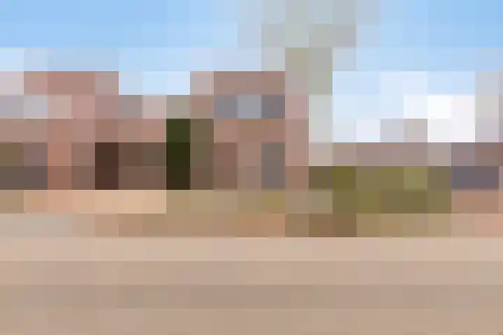 Botter 15 Arnemuiden thumbnail 58