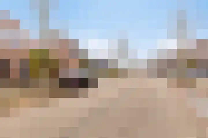 Botter 15 Arnemuiden thumbnail 59