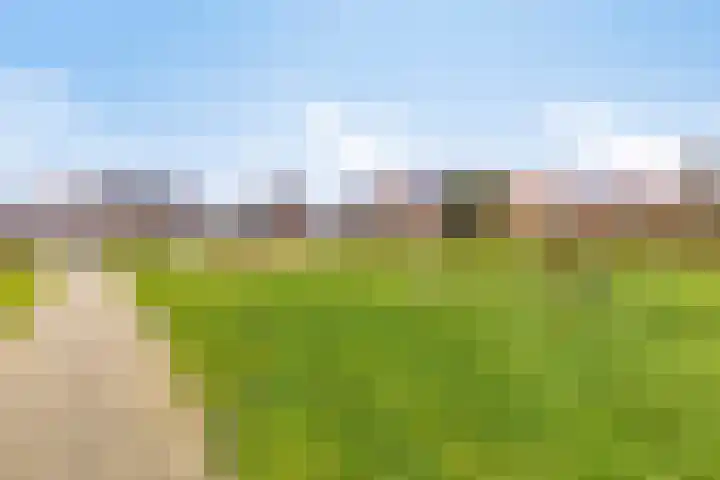 Botter 15 Arnemuiden thumbnail 62