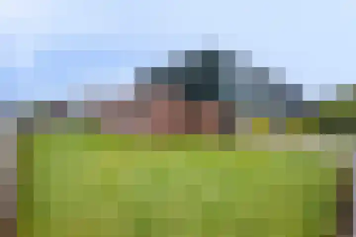 Botter 18 Wieringerwerf