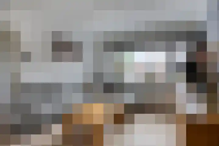 Botter 18 Wieringerwerf thumbnail 12