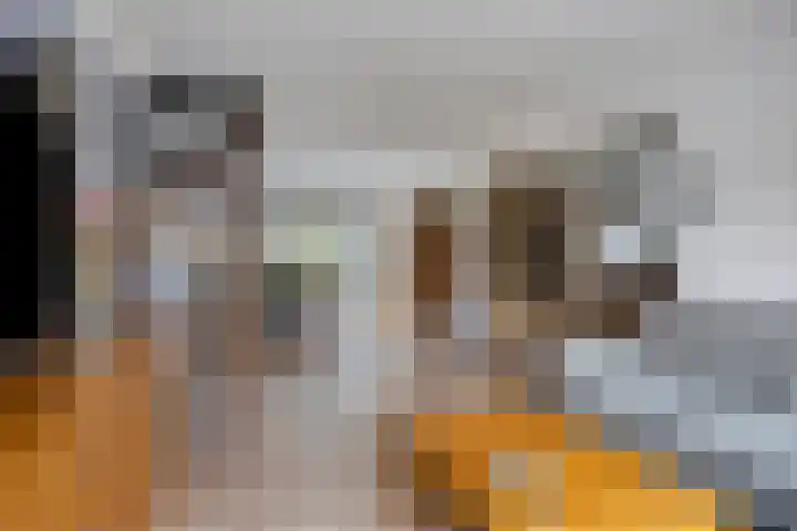 Botter 18 Wieringerwerf thumbnail 13