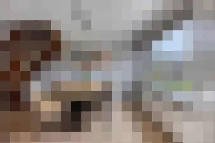 Botter 18 Wieringerwerf thumbnail 16