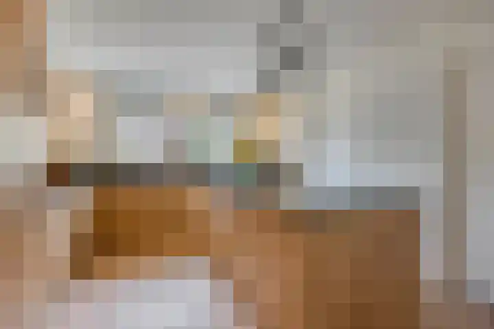 Botter 18 Wieringerwerf thumbnail 20